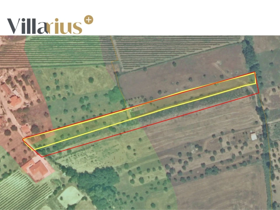 Terreno para Venda em São João Baptista e Santa Maria dos Olivais Foto 12