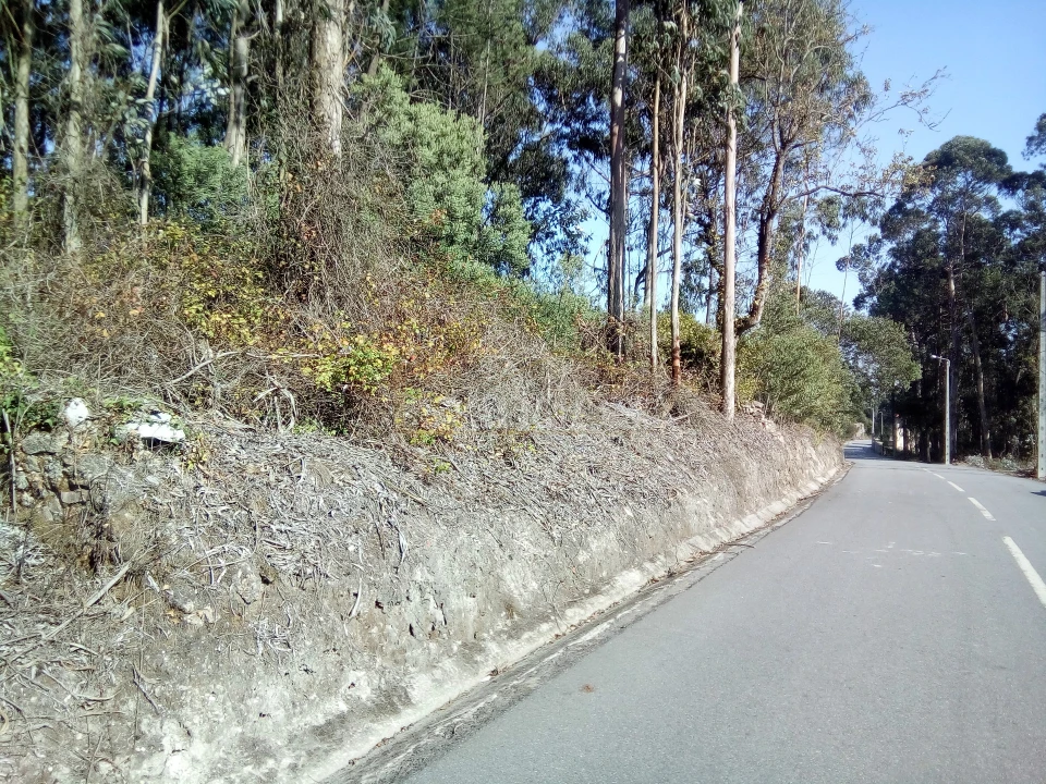 Terreno Misto para Venda em Laundos Foto 1