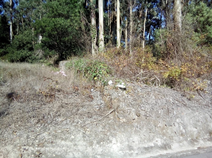 Terreno Misto para Venda em Laundos Foto 2