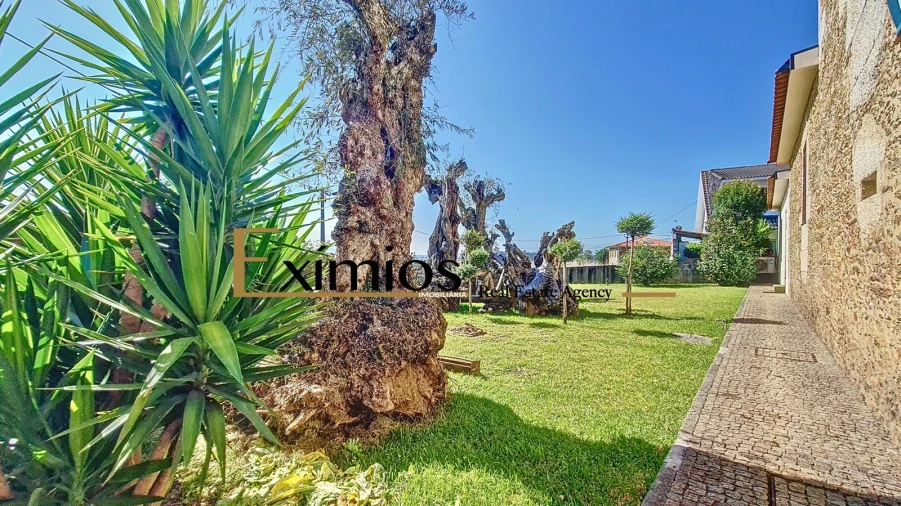 Quinta T4 para Venda em Balazar Foto 16