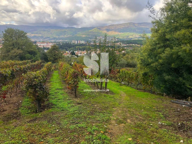 Terreno para Venda em Mateus