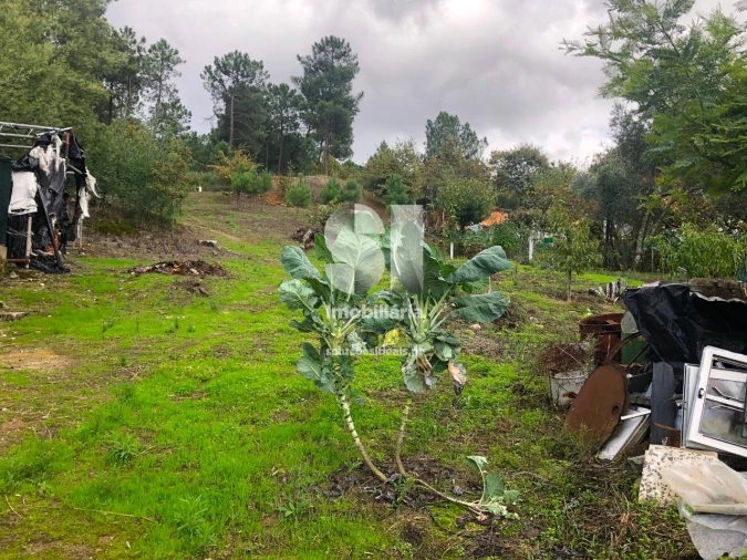 Terreno para Venda em Mateus Foto 7