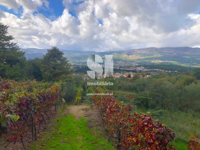 Terreno para Venda em Mateus Foto 8
