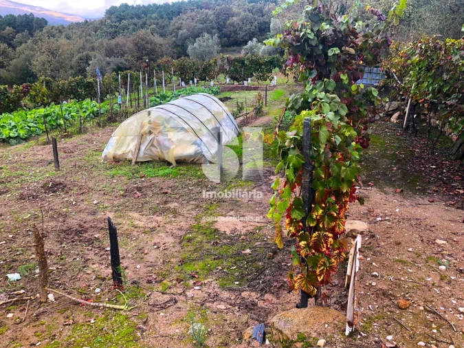 Terreno para Venda em Mateus Foto 11
