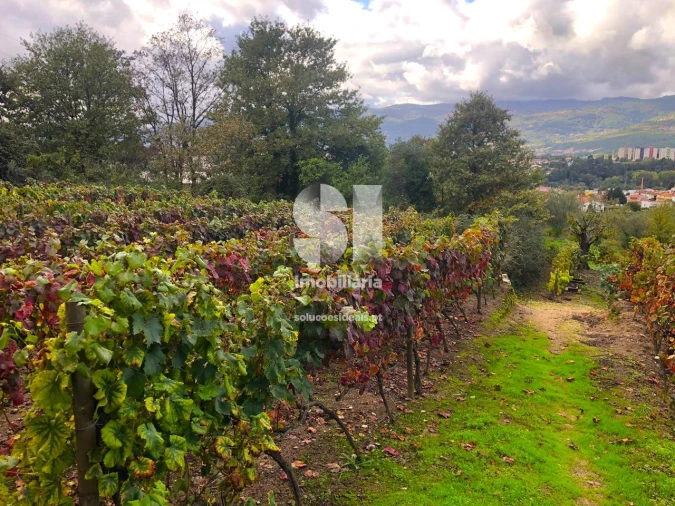Terreno para Venda em Mateus Foto 12