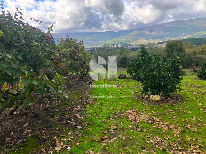 Terreno para Venda em Mateus Foto 15