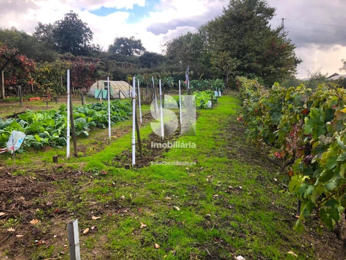 Terreno para Venda em Mateus Foto 19