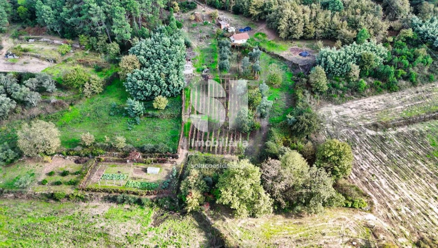 Terreno para Venda em Mateus Foto 25