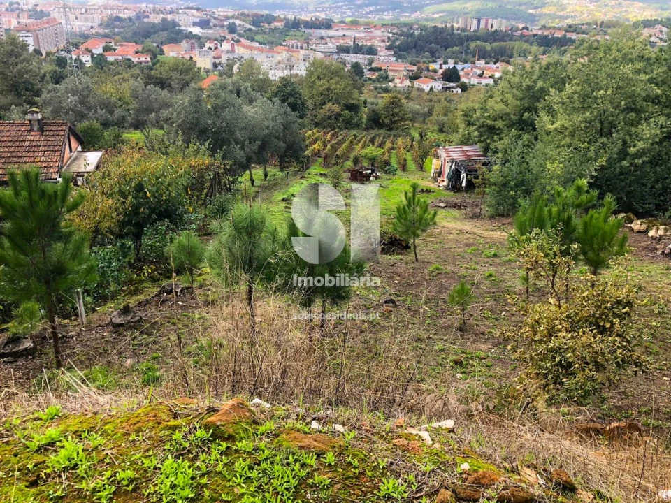 Terreno para Venda em Mateus Foto 2