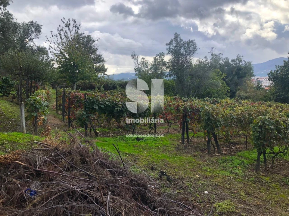 Terreno para Venda em Mateus Foto 5