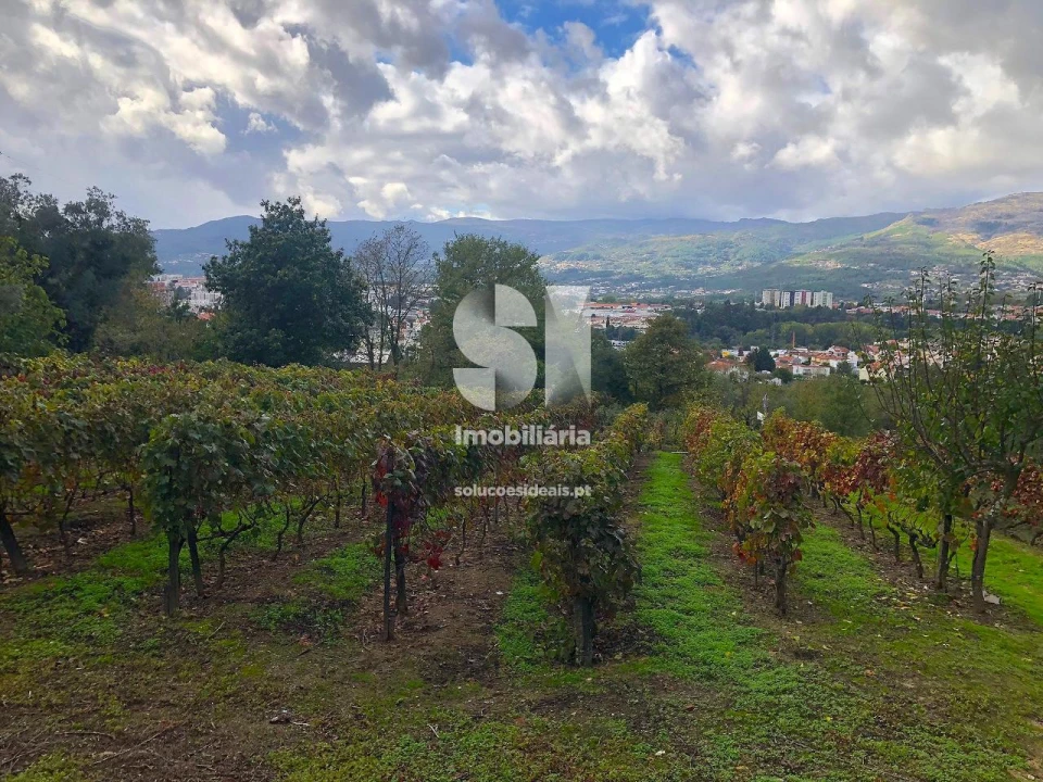 Terreno para Venda em Mateus Foto 6