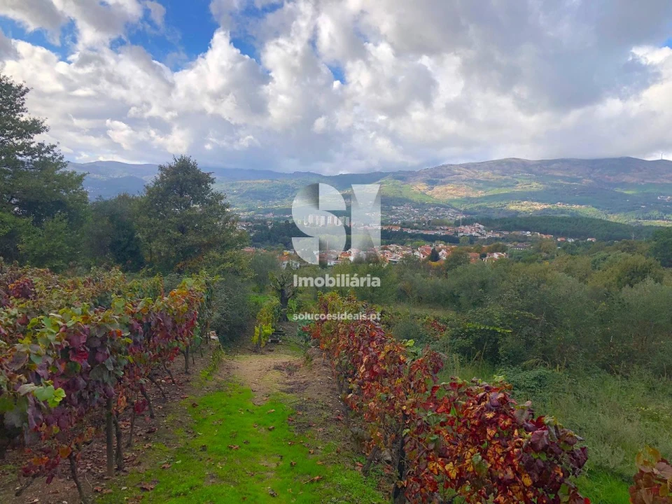 Terreno para Venda em Mateus Foto 8