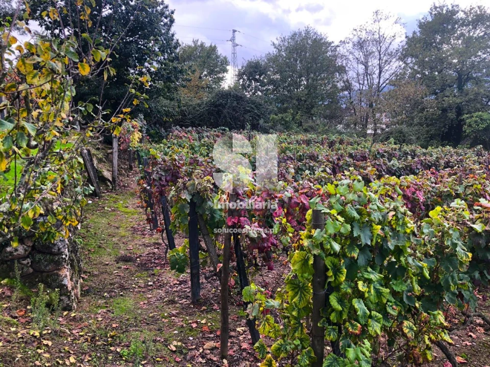 Terreno para Venda em Mateus Foto 9