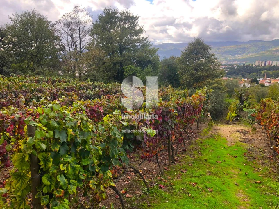Terreno para Venda em Mateus Foto 12