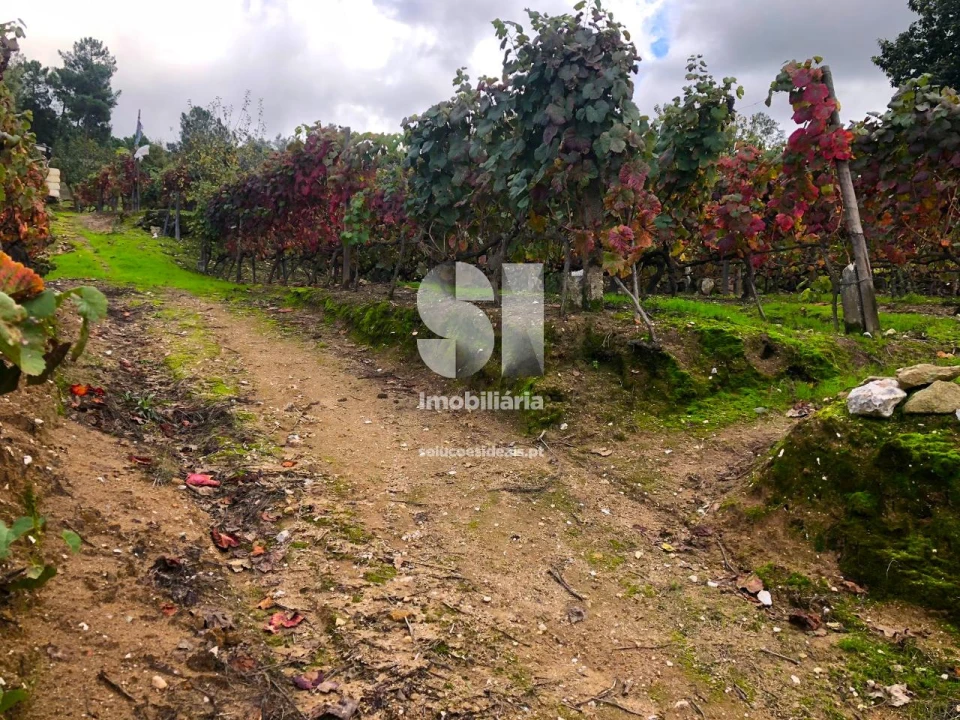 Terreno para Venda em Mateus Foto 13