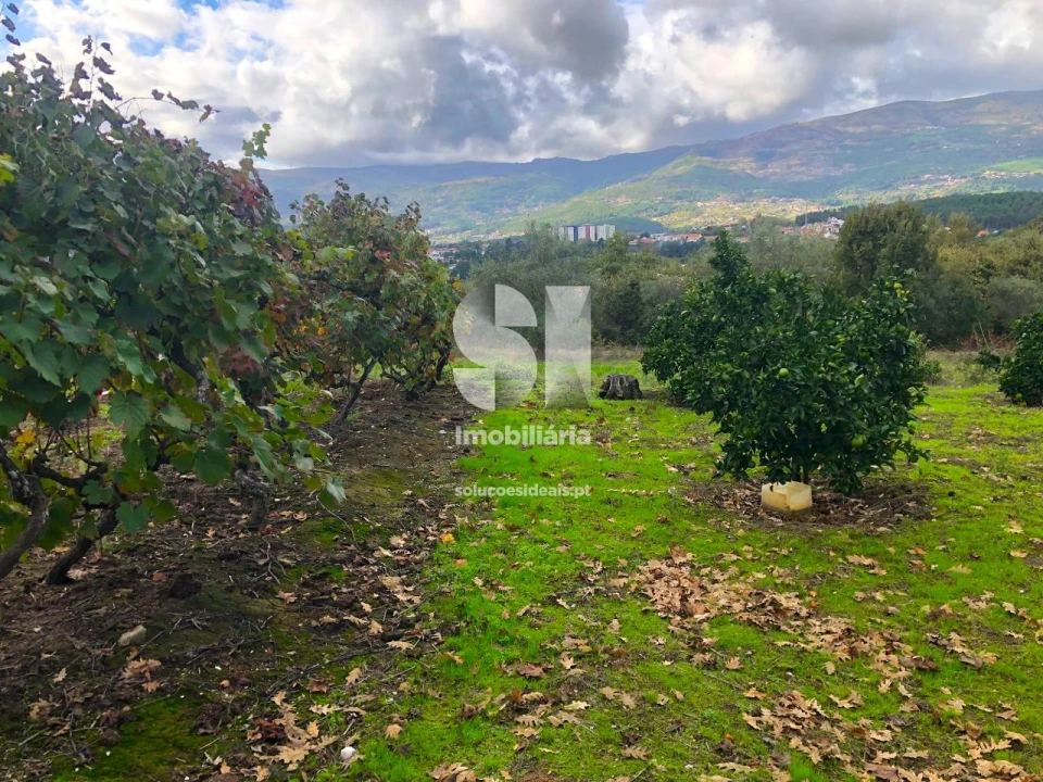 Terreno para Venda em Mateus Foto 15