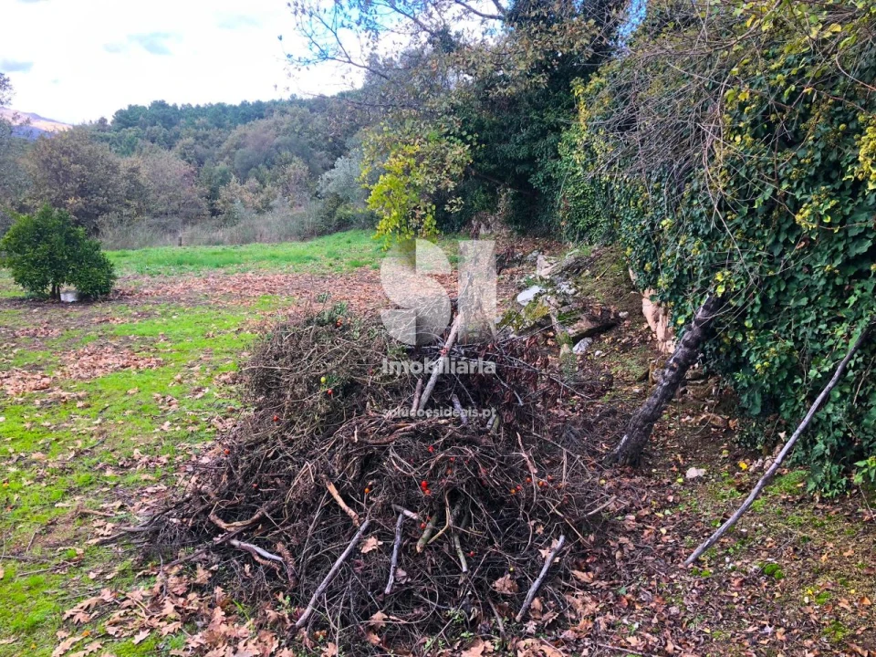 Terreno para Venda em Mateus Foto 16