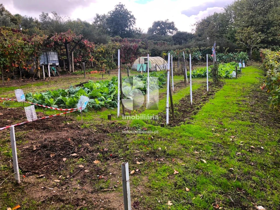 Terreno para Venda em Mateus Foto 18