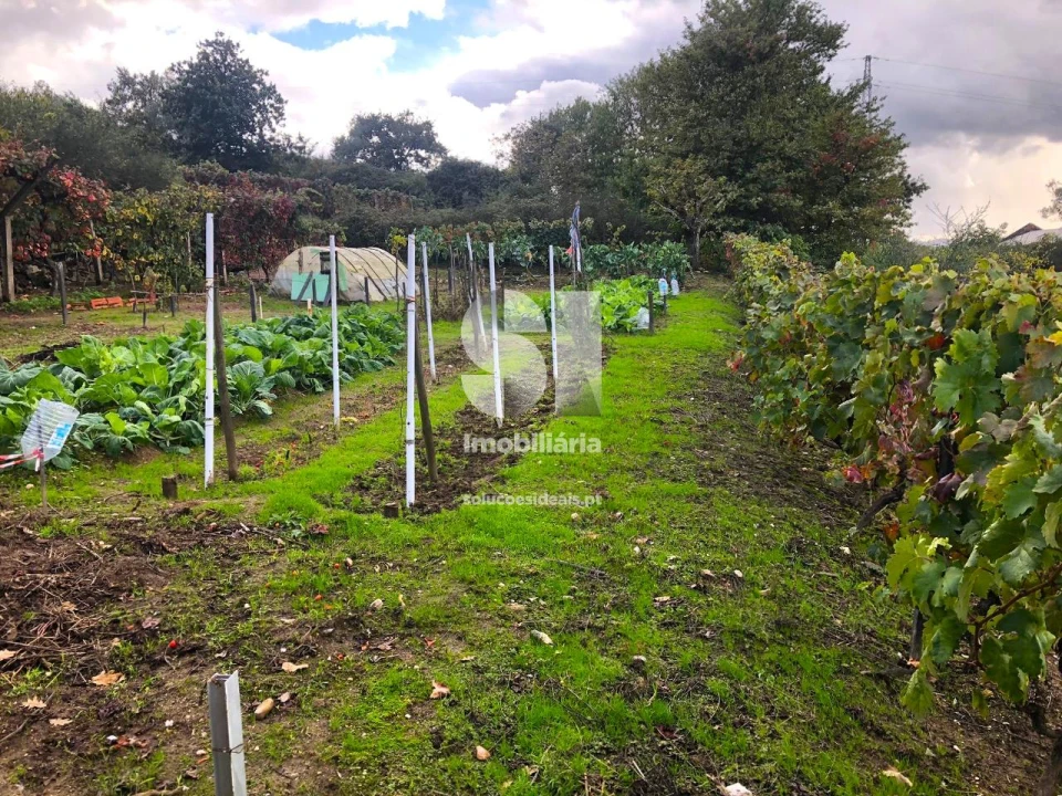 Terreno para Venda em Mateus Foto 19