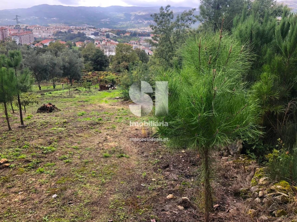 Terreno para Venda em Mateus Foto 20