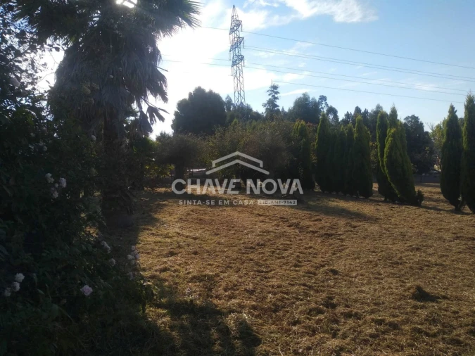 Terreno Misto para Venda em Arcozelo Foto 11