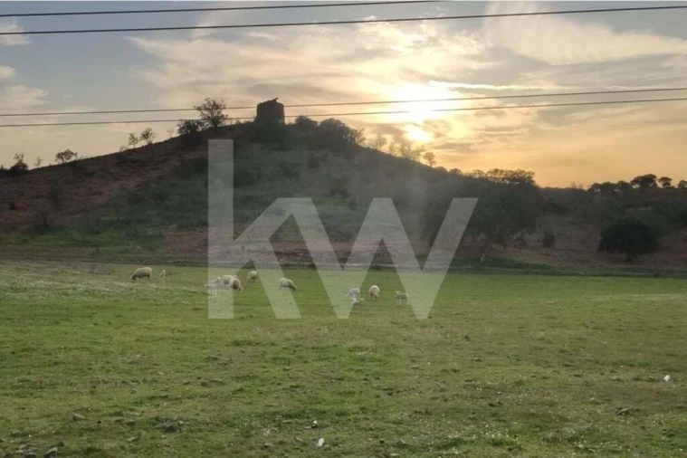 Moradia T1 para Venda em Martim Longo Foto 24