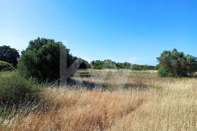 Terreno para Venda em Loule (São Clemente)