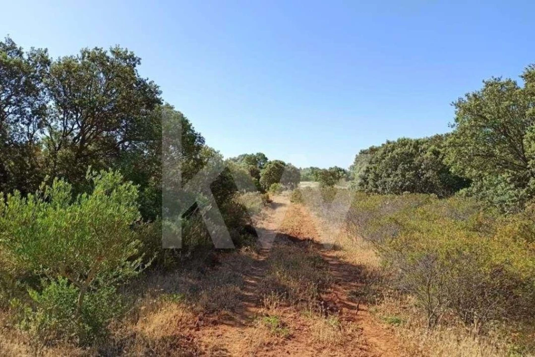 Terreno para Venda em Loule (São Clemente) Foto 6
