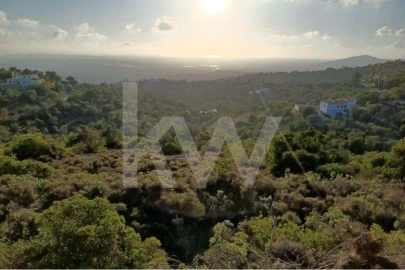 Terreno para Venda em Santa Barbara de Nexe
