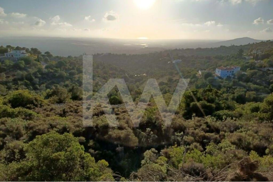 Terreno para Venda em Santa Barbara de Nexe Foto 2
