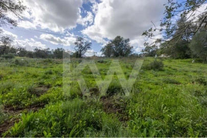 Terreno para Venda em Almancil