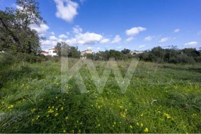 Terreno para Venda em Almancil