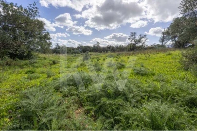 Terreno para Venda em Almancil