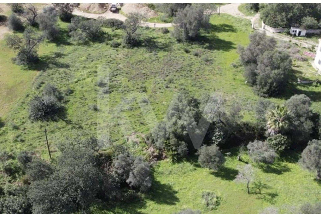 Terreno para Venda em Almancil Foto 21