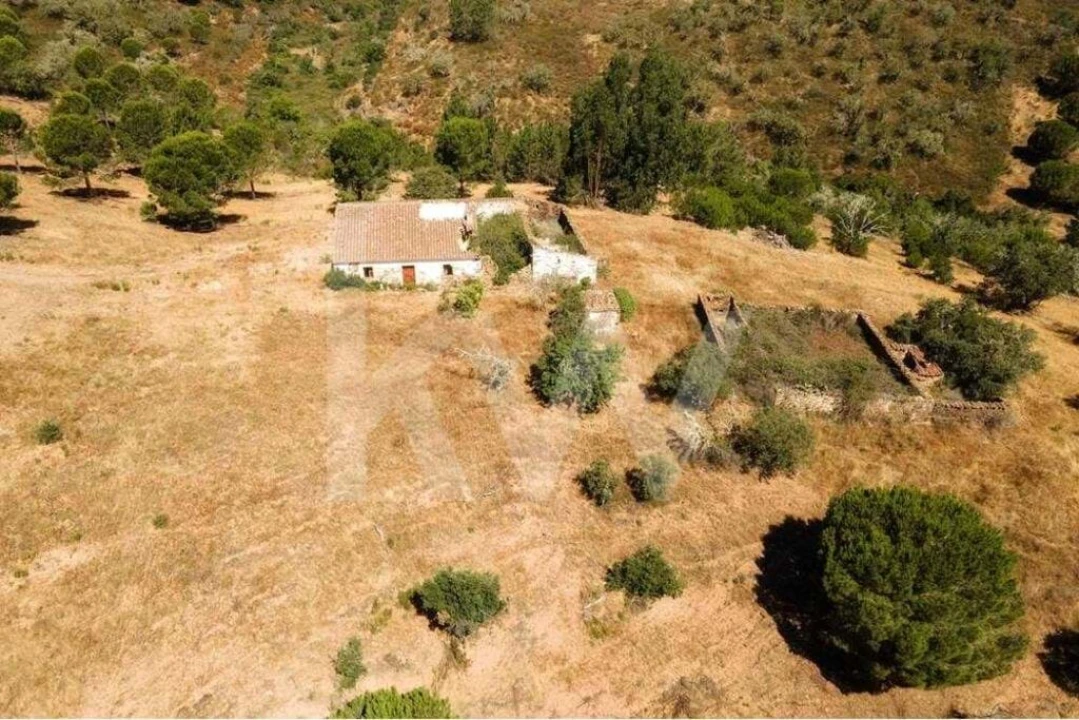 Quinta T5 para Venda em Cachopo Foto 41