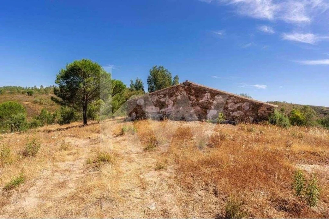 Quinta T5 para Venda em Cachopo Foto 11