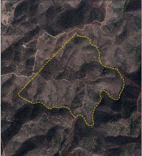 Quinta T5 para Venda em Cachopo