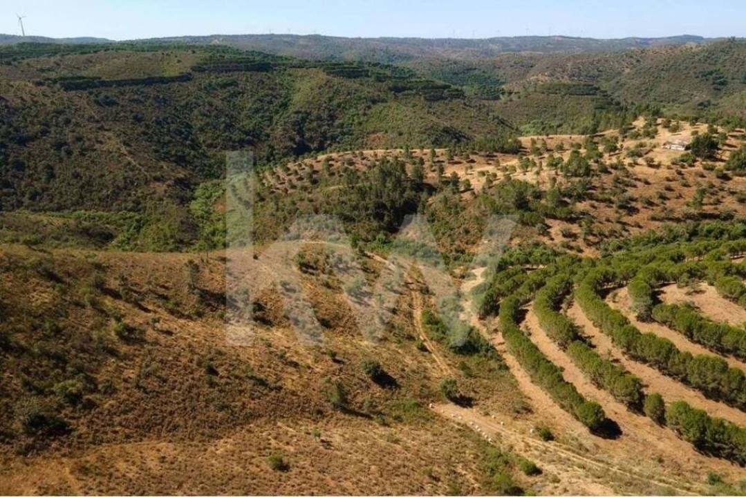 Quinta T5 para Venda em Cachopo Foto 39