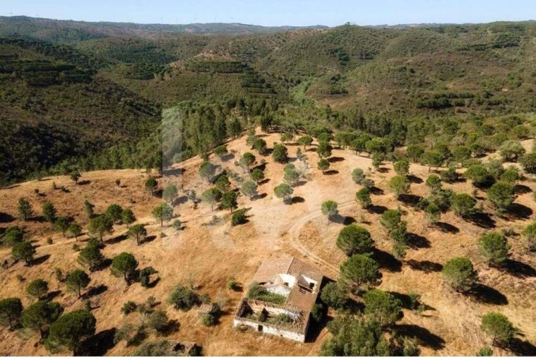 Quinta T5 para Venda em Cachopo Foto 35