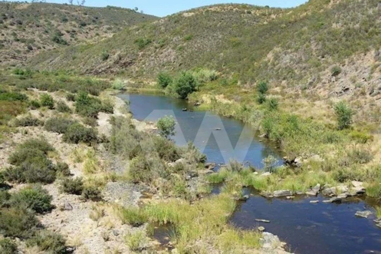 Quinta T5 para Venda em Cachopo Foto 10