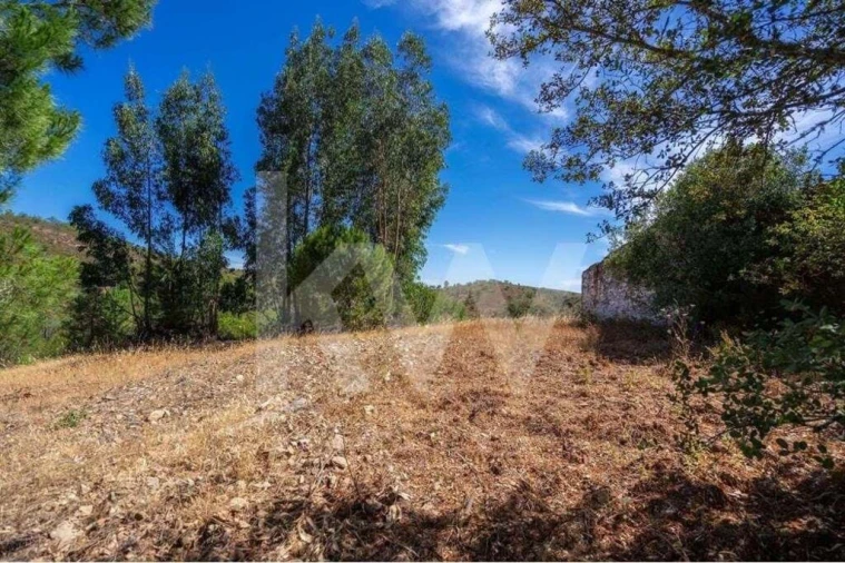 Quinta T5 para Venda em Cachopo Foto 26