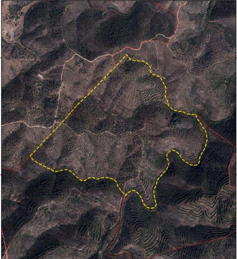 Quinta T5 para Venda em Cachopo Foto 44