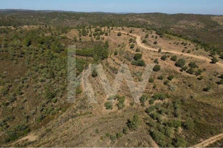 Quinta T5 para Venda em Cachopo Foto 8