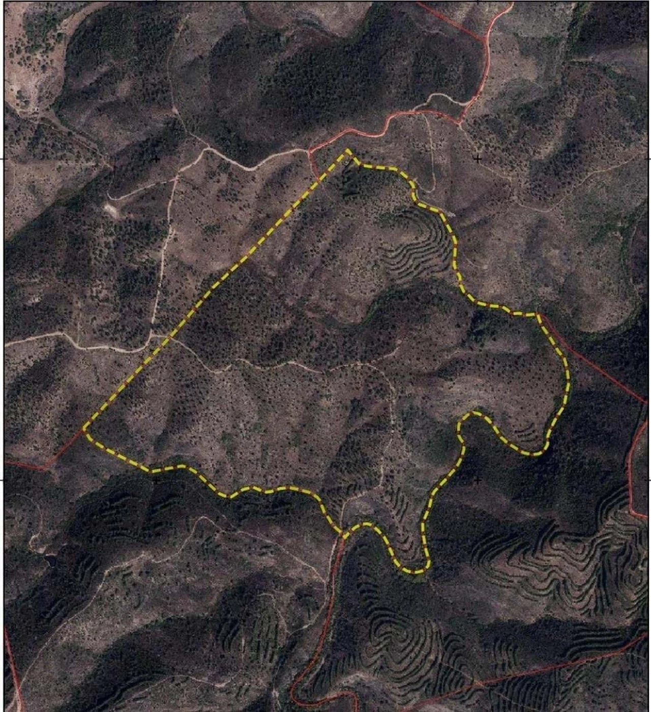 Quinta T5 para Venda em Cachopo Foto 44