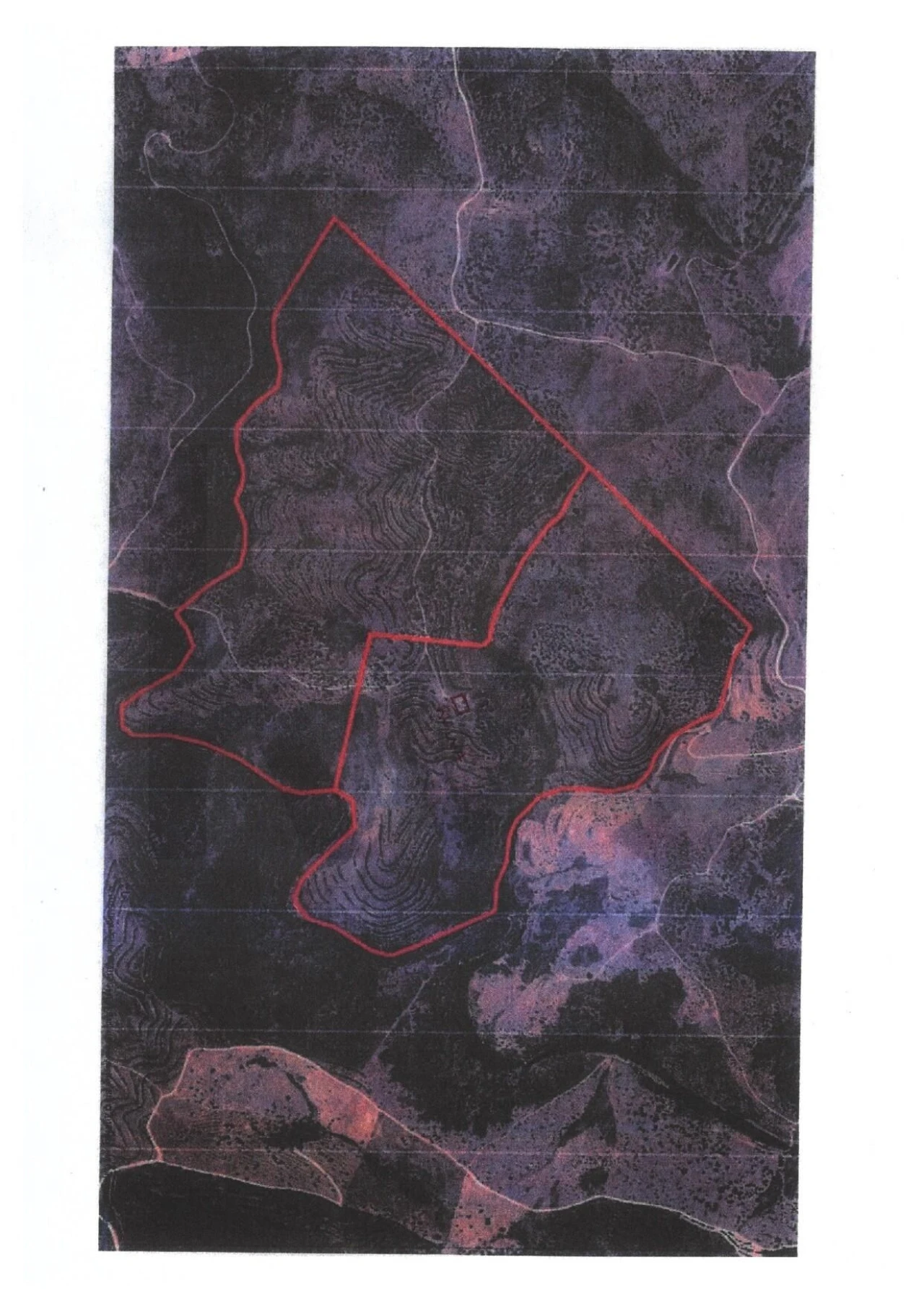 Quinta T5 para Venda em Cachopo Foto 44