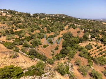 Moradia T4 para Venda em Santa Barbara de Nexe