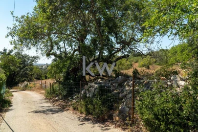 Moradia T4 para Venda em Santa Barbara de Nexe
