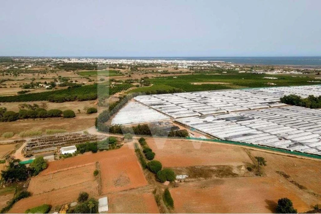 Terreno para Venda em Pechão Foto 6