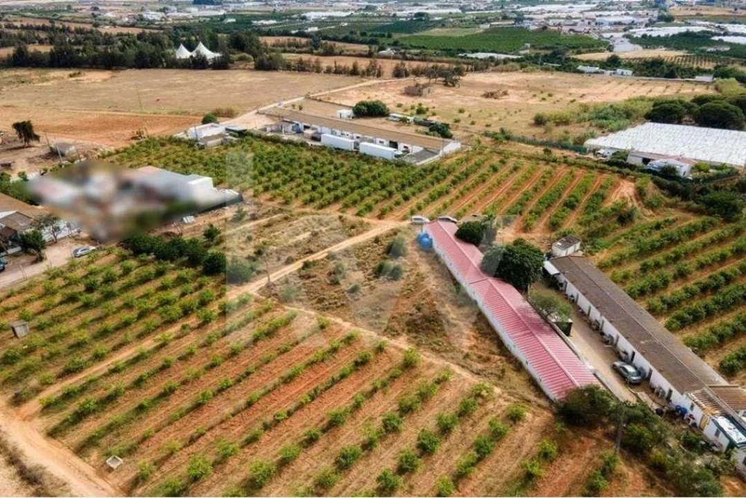 Terreno para Venda em Pechão Foto 20