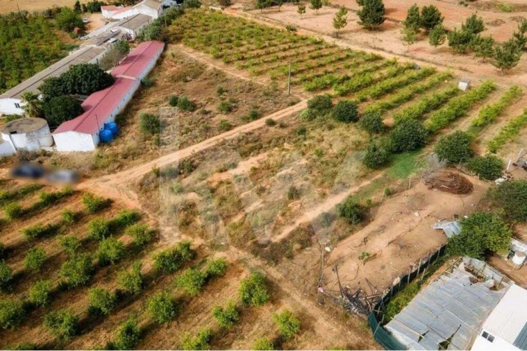 Terreno para Venda em Pechão Foto 13